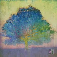 capa album eric johnson